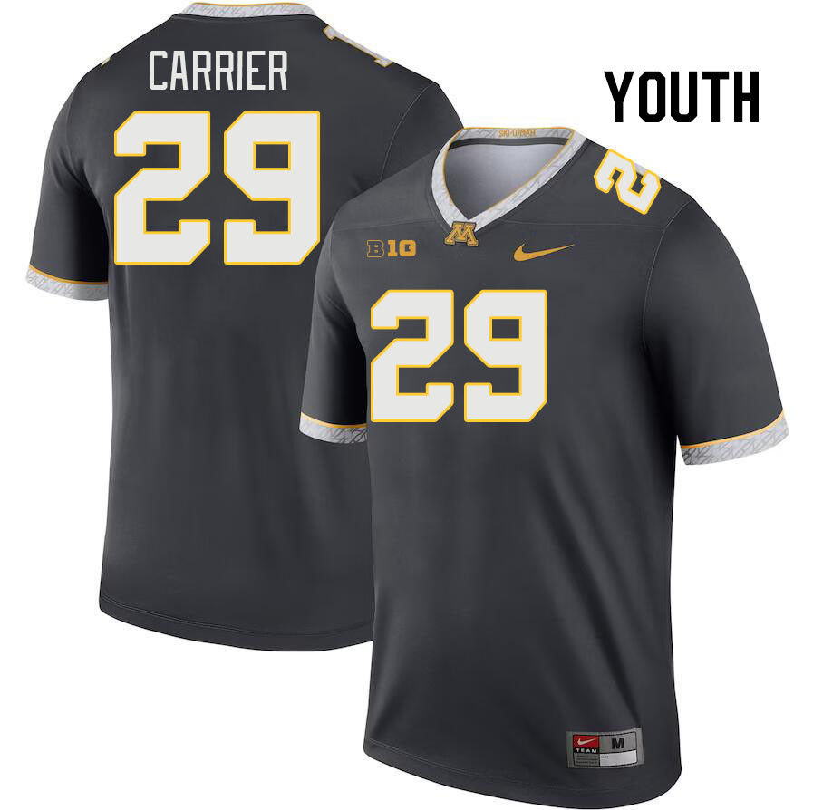 Youth #29 Ethan Carrier Minnesota Golden Gophers College Football Jerseys Stitched Sale-Charcoal